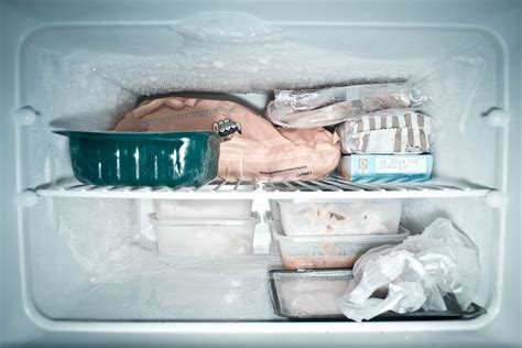 hur snabbt fryser mat
